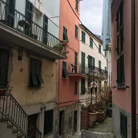 Il Taragio